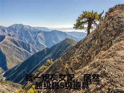 雾月沈确(我一炮灰女配,居然越级爆S级道具)小说全文在线阅读_雾月沈确最新章节在线阅读_笔趣阁
