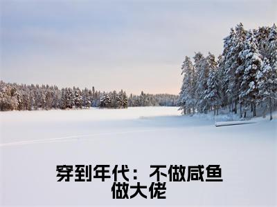 沈音（穿到年代：不做咸鱼做大佬）小说全文无删减版完整版_ 沈音最新章节列表_笔趣阁