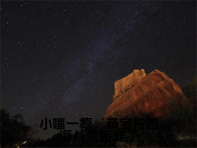 小嘴一瘪，萌宝被四海八荒团宠了（小九儿免费阅读无弹窗）小九儿最新章节列表_笔趣阁