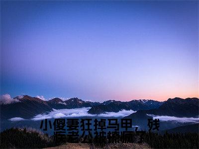 小傻妻狂掉马甲,残疾老公被撩疯了(顾寒叙许悠悠)完整版小说阅读_小傻妻狂掉马甲,残疾老公被撩疯了全文免费阅读最新章节列表_笔趣阁