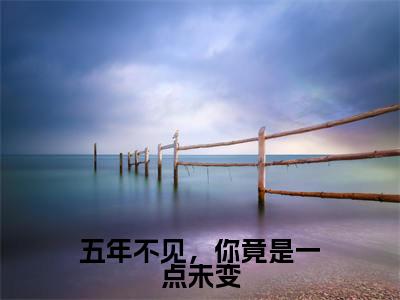 主角为苏荔黎易至的小说-五年不见，你竟是一点未变（苏荔黎易至）全文最新完整版阅读