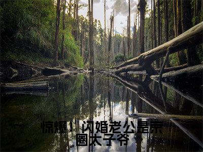 晏轻战晏琛(惊爆!闪婚老公是京圈太子爷)全文免费阅读无弹窗大结局_(晏轻战晏琛全文免费阅读无弹窗)惊爆!闪婚老公是京圈太子爷最新章节列表_笔趣阁(晏轻战晏琛)