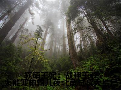  林霜儿夜北承（软萌王妃：战神王爷太能宠林霜儿夜北承试读大结局）最新章节在线阅读 抖音新书热荐软萌王妃：战神王爷太能宠林霜儿夜北承试读大结局