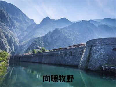 小说向暖牧野免费在线阅读-小说主角叫牧野向暖的小说完整版免费读全文