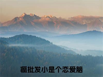 热门小说已完结陈挽侬许南席小说无弹窗大结局_陈挽侬许南席疯批发小是个恋爱脑全文阅读大结局