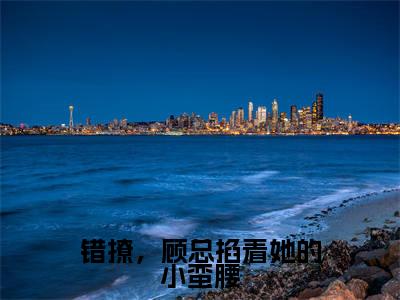 错撩,顾总掐着她的小蛮腰阅读无弹窗大结局_顾寒升杨念念穿越小说免费阅读_笔趣阁