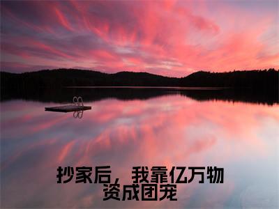 抄家后,我靠亿万物资成团宠全文免费无弹窗大结局_ 阮禾慕云霄免费抄家后,我靠亿万物资成团宠最新章节列表_笔趣阁