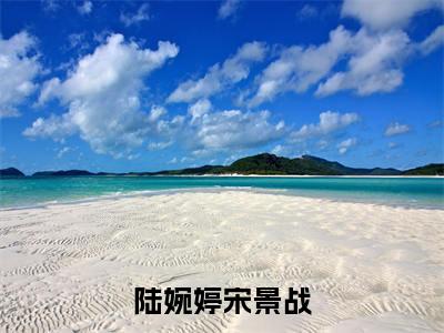 陆婉婷宋景战(宋景战陆婉婷)正版小说最新章节在线阅读_(宋景战陆婉婷全文免费阅读无弹窗)