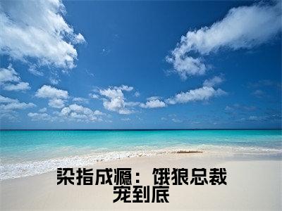 染指成瘾:饿狼总裁宠到底全网热搜(夏望莫斯南)是什么小说,染指成瘾:饿狼总裁宠到底免费阅读无弹窗