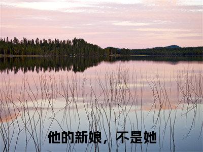 【新书】他的新娘，不是她全文全章节免费阅读-沈希薇宫瑾陌 全文免费阅读无弹窗大结局