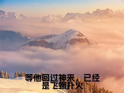 (热推新书)《等他回过神来,已经是飞蛾扑火》全文免费阅读最新章节大结局-苏未厉绍呈无弹窗阅读