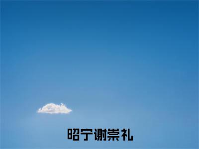 昭宁谢崇礼(谢崇礼昭宁)全文免费阅读无弹窗大结局_昭宁谢崇礼_笔趣阁(谢崇礼昭宁)