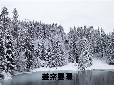 (姜奈晏曜)全文免费阅读无弹窗(姜奈晏曜)晏曜姜奈已完结全集大结局