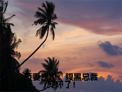 娇妻还小：腹黑总裁宠坏了！苏晚棠墨司寒小说结局-娇妻还小：腹黑总裁宠坏了！全文无弹窗阅读