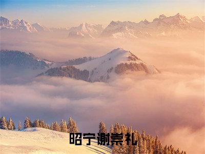 昭宁谢崇礼(谢崇礼昭宁)全文免费阅读无弹窗大结局_(昭宁谢崇礼免费阅读全文大结局)最新章节列表_笔趣阁(谢崇礼昭宁)