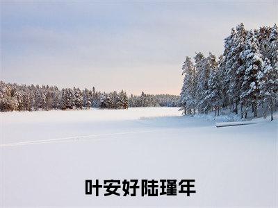 叶安好陆瑾年陆瑾年叶安好小说（陆瑾年叶安好）全文在线阅读无弹窗大结局叶安好陆瑾年