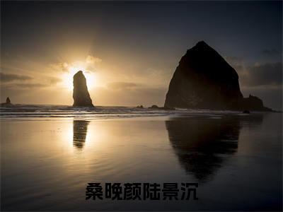 陆景沉桑晚颜免费阅读无弹窗大结局-桑晚颜陆景沉最新全章节全文阅读免费阅读-笔趣阁