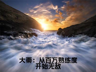 叶天小说在线阅读大秦:从百万熟练度开始无敌无广告小说免费在线阅读