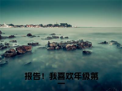 报告!我喜欢年级第一(林城夏之未)全文免费阅读无弹窗大结局_(报告!我喜欢年级第一)最新章节列表_林城夏之未