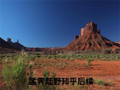 孟霁陆野（小乖乖腰酸背痛，强制爱总裁是疯批）全文免费阅读无弹窗大结局_ 孟霁陆野免费最新章节列表_笔趣阁