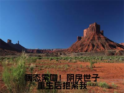 主角是苏云皎慕寒书的小说-病态索吻!阴戾世子重生后抱紧我全章节在线阅读