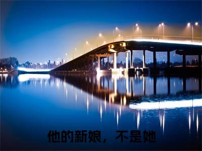 他的新娘,不是她无广告小说(沈希薇宫瑾陌)全文免费阅读无弹窗大结局-他的新娘,不是她在线阅读