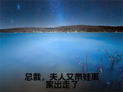 总裁，夫人又带娃离家出走了小说（秦希陆薄琛）全文免费阅读无弹窗_总裁，夫人又带娃离家出走了小说最新章节免费阅读_笔趣阁（秦希陆薄琛）