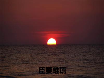 姜青隐卫颐苏的小说（臣妻难诱）免费阅读_姜青隐卫颐苏小说免费阅读-笔趣阁
