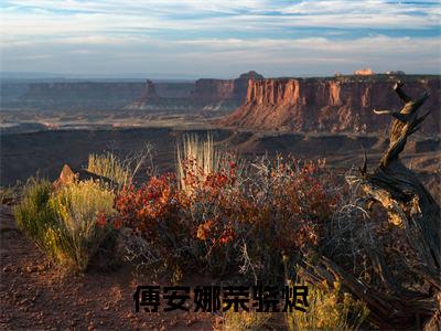 傅安娜荣骁烬小说在线阅读-傅安娜荣骁烬小说最新章节阅读