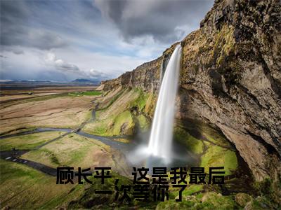 《顾长平,这是我最后一次等你了》主角是沈玉荷顾长平全文免费阅读已完结