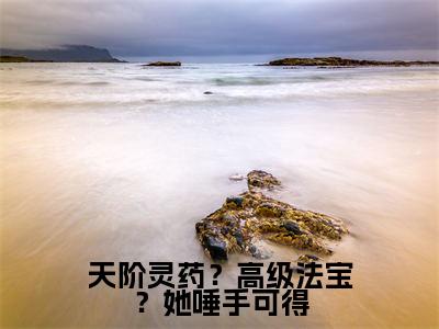  桑晚林芷安小说完整版阅读-小说天阶灵药？高级法宝？她唾手可得全文免费阅读