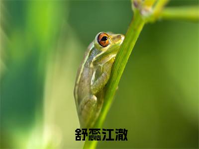 万能神豪系统全文免费在线阅读大结局_（ 舒蕊江澈免费阅读无弹窗）万能神豪系统全文免费完结版阅读（ 舒蕊江澈）