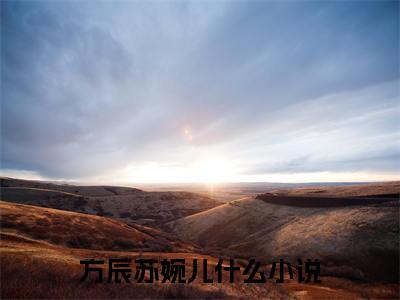 方辰苏婉儿什么小说 方辰苏婉儿多人追免费无弹窗小说, 方辰苏婉儿已完结全集大结局