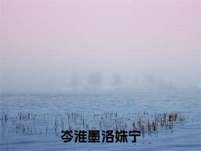 岑淮墨洛姝宁全文(洛姝宁岑淮墨)全文免费阅读无弹窗大结局_洛姝宁岑淮墨最新章节列表_笔趣阁(岑淮墨洛姝宁)