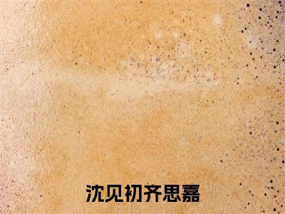 齐思嘉沈见初(齐思嘉沈见初)全文免费阅读无弹窗大结局_沈见初齐思嘉最新章节列表_笔趣阁