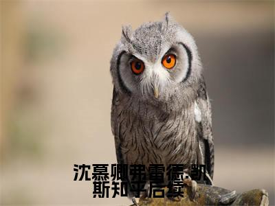  沈慕卿弗雷德.凯斯（强势囚宠）全文免费阅读无弹窗大结局_ 沈慕卿弗雷德.凯斯最新章节列表_笔趣阁（强势囚宠）