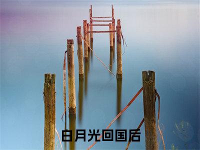 《 厉忱姜诗念》白月光回国后，她假装流产跑路了(热推新书)-抖音热推白月光回国后，她假装流产跑路了无弹窗阅读