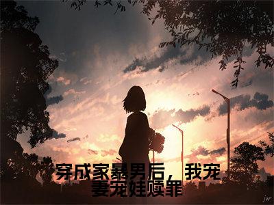 顾星熠夏汐瑶小说全文免费阅读-穿成家暴男后,我宠妻宠娃赎罪在线阅读的小说完整版
