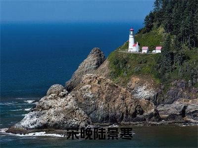 宋晚陆景寒(陆景寒宋晚)小说全文免费陆景寒宋晚无弹窗大结局_(陆景寒宋晚)宋晚陆景寒全文免费江洛洛顾瑾川读最新章节列表笔趣阁(陆景寒宋晚)