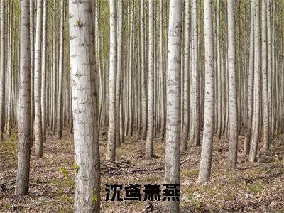 (萧燕沈鸢)沈鸢萧燕全文免费阅读无弹窗_(沈鸢萧燕小说免费阅读)最新章节列表笔趣阁