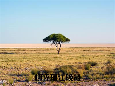柳怀瑾江晚凝江晚凝柳怀瑾小说全文免费阅读无弹窗大结局_柳怀瑾江晚凝(江晚凝柳怀瑾)最新章节列表笔趣阁