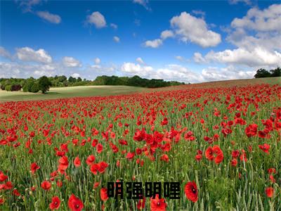 让你上综艺，你咋创飞所有人精彩小说赏析全文  明强明哩热门小说免费阅读