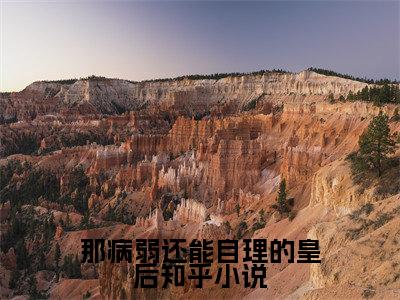 小说（那病弱还能自理的皇后） 陈宁书江郢全文阅读-精彩美文那病弱还能自理的皇后免费阅读