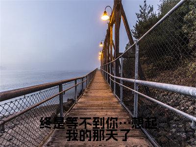 终是等不到你…想起我的那天了小说(苏明颜卫晟)精彩免费小说_终是等不到你…想起我的那天了全文免费阅读无弹窗大结局笔趣阁
