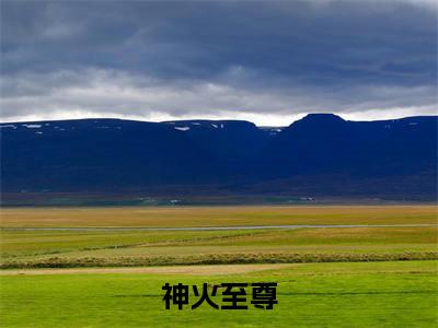  陈帆苏慕言（神火至尊）全文免费阅读无弹窗大结局_神火至尊最新章节列表_笔趣阁