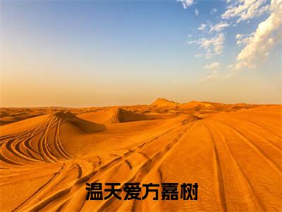 方嘉树温天爱(温天爱方嘉树)全文免费阅读无弹窗大结局_温天爱方嘉树最新章节列表_笔趣阁