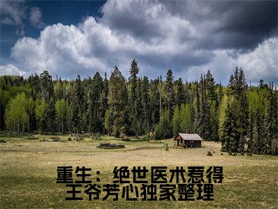 重生：绝世医术惹得王爷芳心( 傅朝颜萧玉)抖音热推小说全集无删减, 傅朝颜萧玉小说在线免费阅读大结局