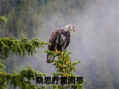 霍闫亭桑思柠(桑思柠霍闫亭)全文免费阅读-小说桑思柠霍闫亭最新章节阅读笔趣阁