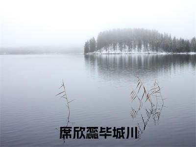 毕城川席欣蕊小说在线阅读席欣蕊毕城川无广告小说免费在线阅读