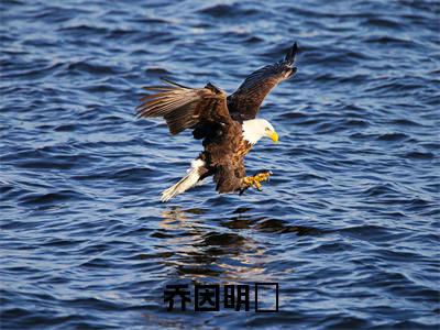 明璟乔因小说在线阅读(乔因明璟)全文免费阅读无弹窗大结局_乔因明璟小说免费最新章节列表_笔趣阁(明璟乔因)